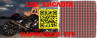твердый Кулебаки