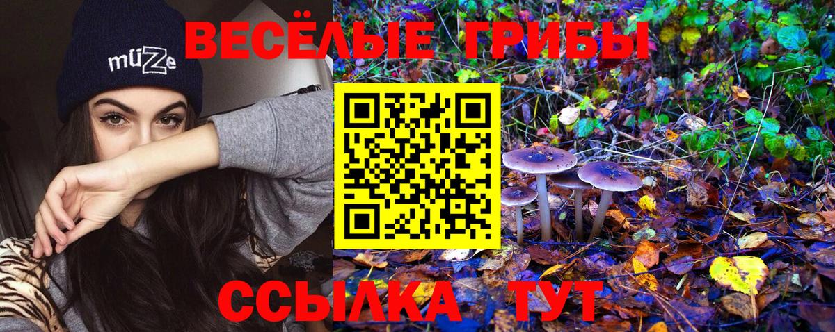 Псилоцибиновые грибы Magic Shrooms Балашов