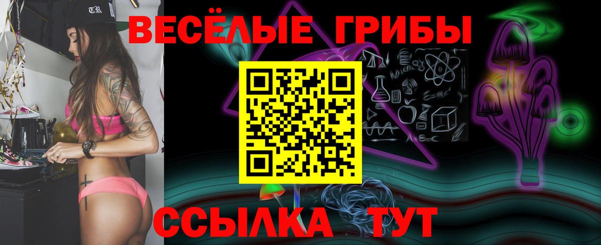 Балашов  Галлюциногенные грибы Cubensis  Вход с VPN  где купить наркоту  Псилоцибиновые грибы GOLDEN TEACHER 